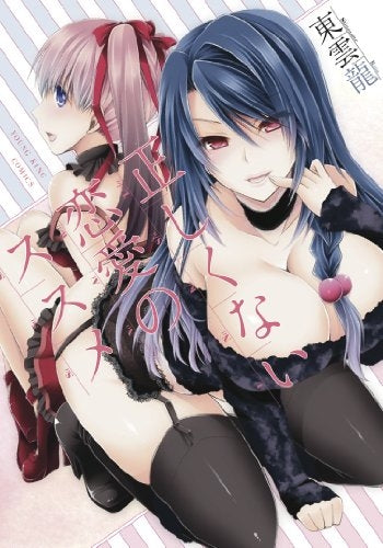 正しくない恋愛のススメ