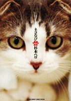 ネコなび(1巻 全巻)