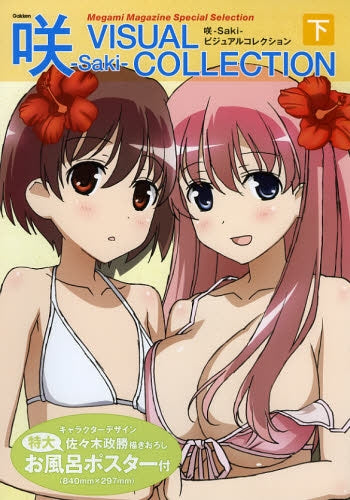 咲-Saki- ビジュアルコレクション