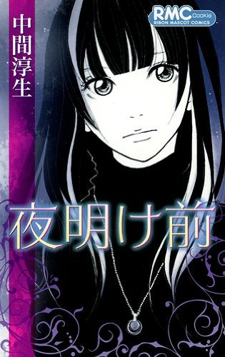 夜明け前 (全1巻)