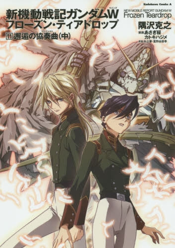 新機動戦記ガンダムW フローズン・ティアドロップ贖罪の輪 (1-13巻 全巻)