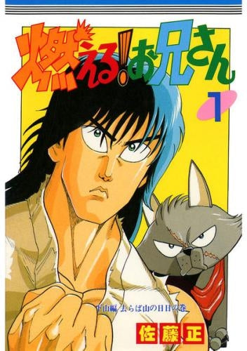 燃える!お兄さん (1-19巻 全巻)