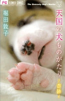 天国の犬ものがたり~奇跡~(1巻 全巻)