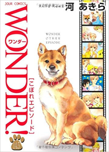 WONDER! 14.5巻