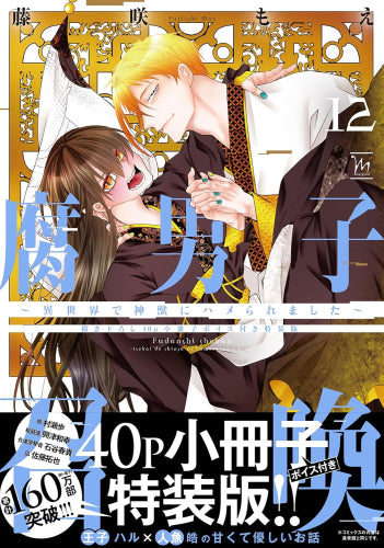 【有償特典付き】腐男子召喚～異世界で神獣にハメられました～(12)【描き下ろし40p小冊子ボイス付き特装版】