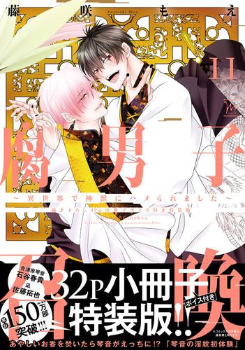 腐男子召喚～異世界で神獣にハメられました～(11)【描き下ろし32p小冊子ボイス付き特装版】