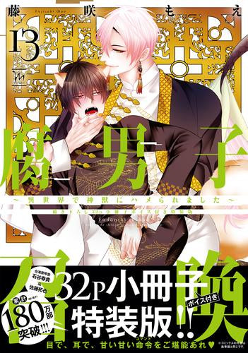 腐男子召喚～異世界で神獣にハメられました～(13)【描き下ろし32p小冊子ボイス付き特装版】
