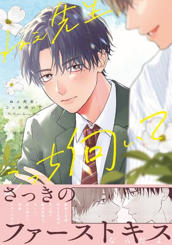 ねぇ先生、こっち向いて (1巻 最新刊)