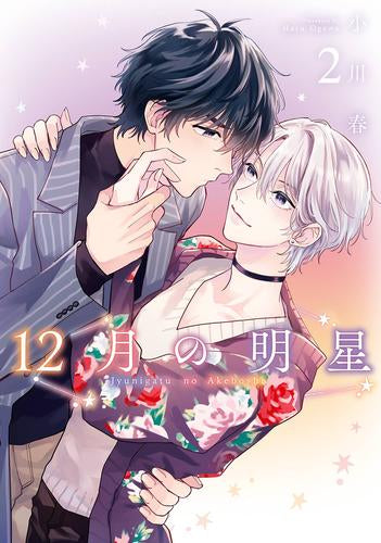 12月の明星 (1-2巻 全巻)