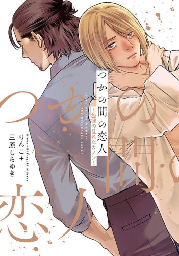 つかの間の恋人 (全2冊)