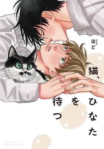 猫、ひなたを待つ (1巻 全巻)