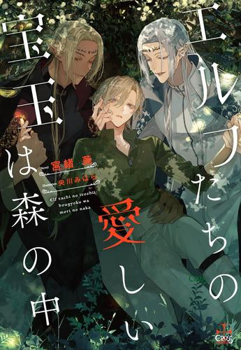 [ライトノベル]エルフたちの愛しい宝玉は森の中 (全1冊)