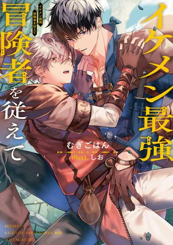 [ライトノベル]イケメン最強冒険者を従えて (全1冊)