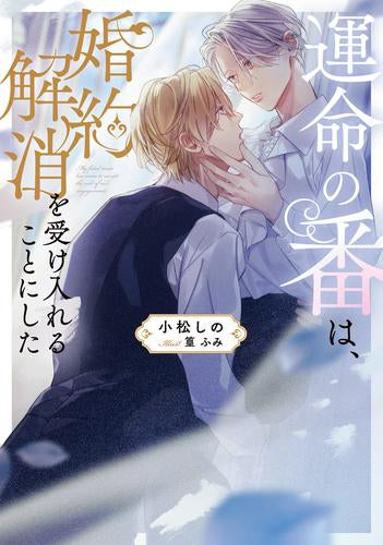 [ライトノベル]運命の番は、婚約解消を受け入れることにした (全1冊)