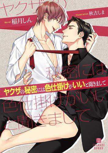 [ライトノベル]ヤクザの秘密には色仕掛けがいいと聞きまして (全1冊)