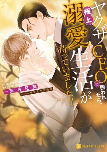 [ライトノベル]ヤクザCEOに囲われたら、極上溺愛生活が待っていました!? (全1冊)