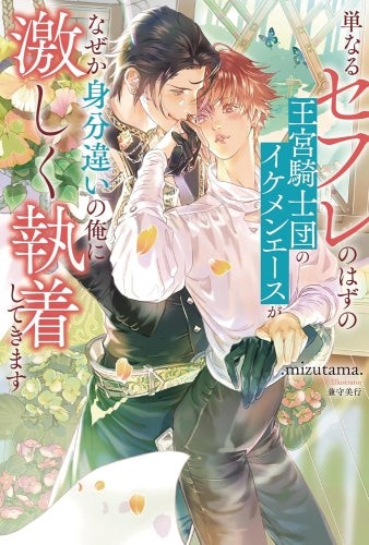 [ライトノベル]単なるセフレのはずの王宮騎士団のイケメンエースがなぜか身分違いの俺に激しく執着してきます (全1冊)