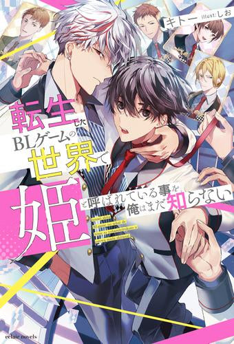 [ライトノベル]転生したBLゲームの世界で姫と呼ばれている事を俺はまだ知らない (全1冊)
