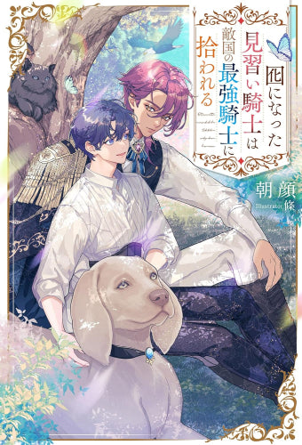 [ライトノベル]囮になった見習い騎士は敵国の最強騎士に拾われる (全1冊)