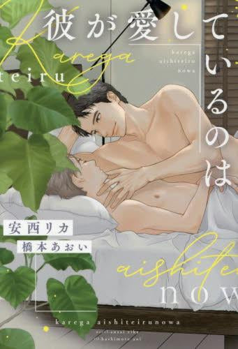 [ライトノベル]彼が愛しているのは (全1冊)