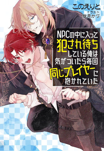 [ライトノベル]NPCの中に入って犯され待ちしている俺は気がついたら毎回同じプレイヤーに抱かれていた (全1冊)