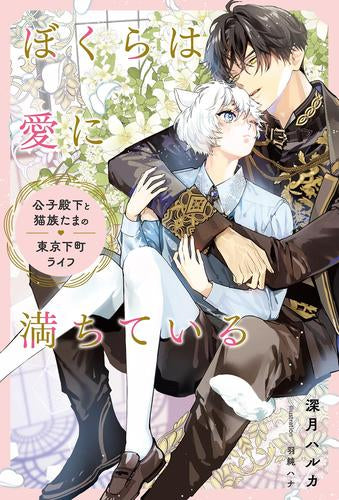 [ライトノベル]ぼくらは愛に満ちている～公子殿下と猫族たまの東京下町ライフ～ (全1冊)