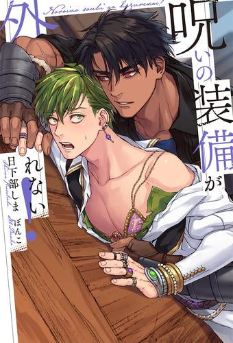 [ライトノベル]呪いの装備が外れない! (全1冊)