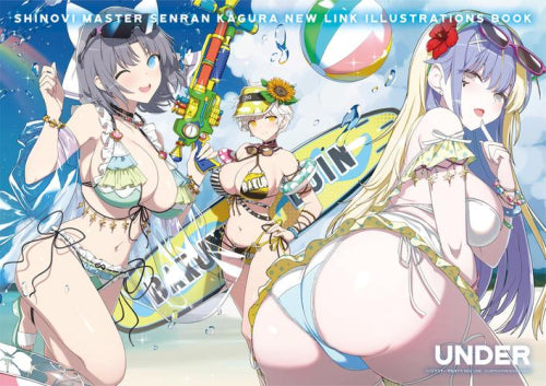 [画集]『シノビマスター 閃乱カグラ NEW LINK ILLUSTRATIONS (全2冊)