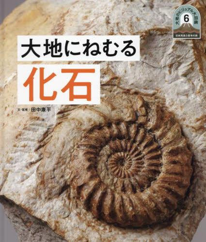 [児童書]日本列島5億年の旅 大地のビジュアル大図鑑 6 大地にねむる化石