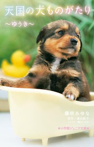 [全巻収納ダンボール本棚付][児童書]天国の犬ものがたりシリーズ (全19冊)