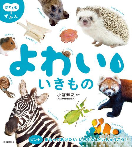 [児童書]はぐくむずかんシリーズ (全2冊)