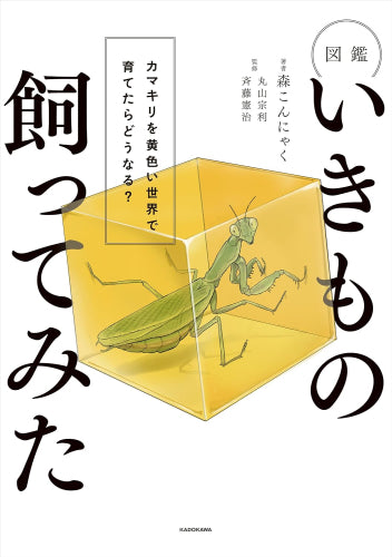 [児童書]図鑑いきもの飼ってみた カマキリを黄色い世界で育てたらどうなる？