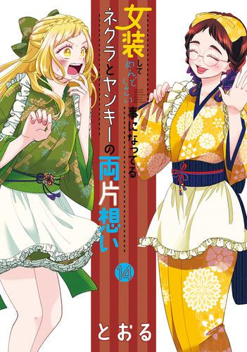 女装してめんどくさい事になってるネクラとヤンキーの両片想い(1-14巻 最新刊)