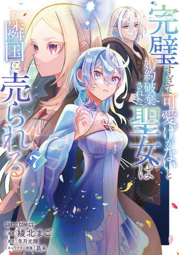完璧すぎて可愛げがないと婚約破棄された聖女は隣国に売られる (1-7巻 最新刊)