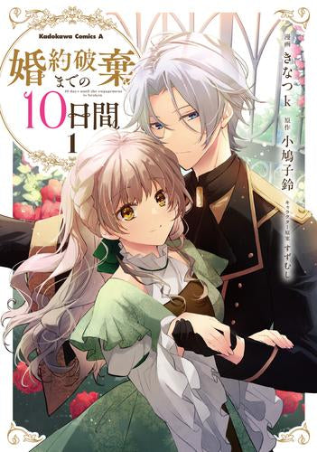 婚約破棄までの10日間 (1巻 最新刊)