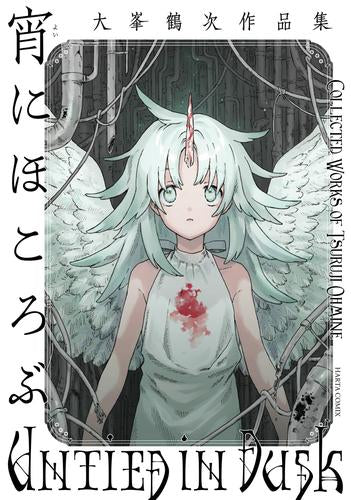 大峯鶴次作品集 (全2冊)