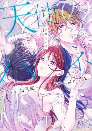 天使のハネ (1巻 最新刊)