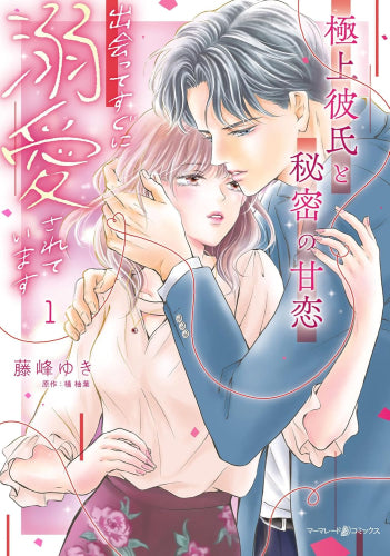 極上彼氏と秘密の甘恋～出会ってすぐに溺愛されています～ (1巻 最新刊)