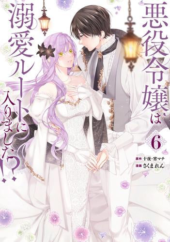 悪役令嬢は溺愛ルートに入りました!?(6) 特装版小冊子付き