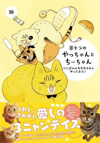 茶トラのやっちゃんとちーちゃんシリーズ (全3冊)