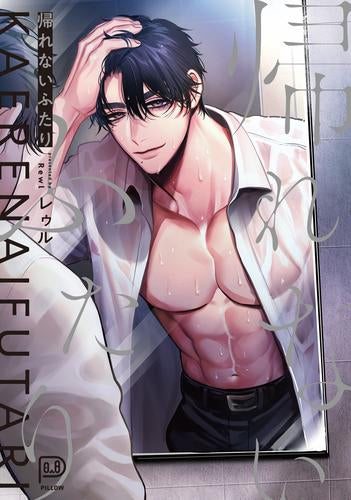 帰れないふたり (1巻 全巻)