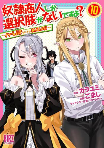 奴隷商人しか選択肢がないですよ? ～ハーレム?なにそれおいしいの?～(1-10巻 最新刊)