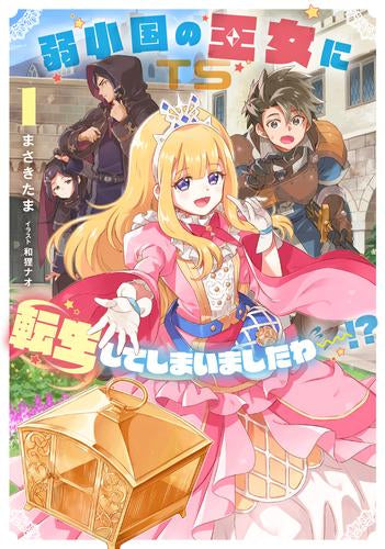[ライトノベル]弱小国の王女に転生してしまいましたわ～!? (全1冊)