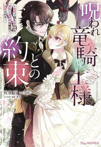 [ライトノベル]呪われ竜騎士様との約束 ～冤罪で国を追われた孤独な魔術師は隣国で溺愛される～ (全1冊)