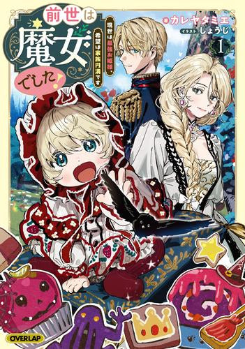 [ライトノベル]前世は魔女でした! ～現世は最強お姫様、希望は家族円満です～ (全1冊)