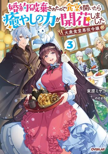 [ライトノベル]大衆食堂悪役令嬢 ～婚約破棄されたので食堂を開いたら癒やしの力が開花しました～ (全3冊)