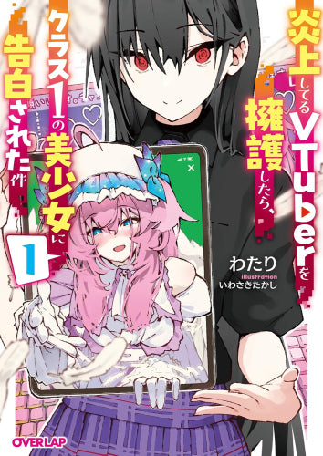 [ライトノベル]炎上してるVTuberを擁護したら、クラス1の美少女に告白された件 (全1冊)
