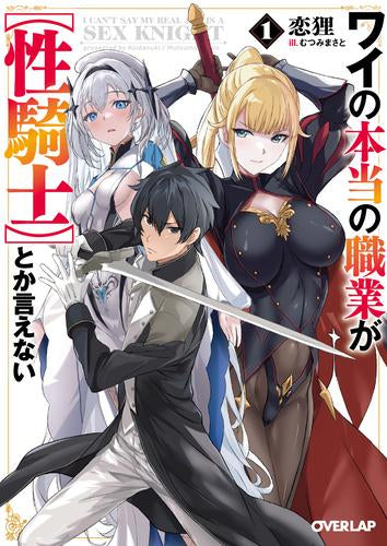 [ライトノベル]ワイの本当の職業が【性騎士】とか言えない (全1冊)
