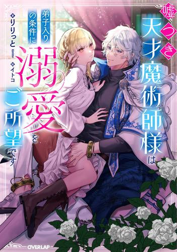 [ライトノベル]嘘つき天才魔術師様は弟子入りの条件に溺愛をご所望です (全1冊)