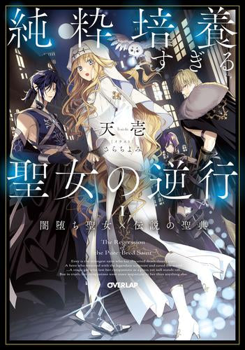 [ライトノベル]純粋培養すぎる聖女の逆行 .闇堕ち聖女×伝説の聖典 (全1冊)